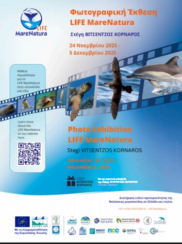 Έκθεση Φωτογραγίας, Στέγη Βιτσέντζος Κορνάρος