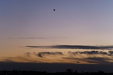Ουρανός, Ξημέρωμα