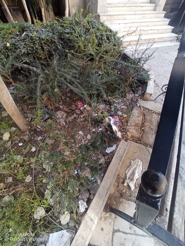 Παρτέρια, Άγιος Τίτος