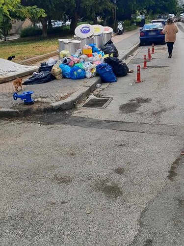 Ωραίοι οι νέοι κάδοι, αλλά...