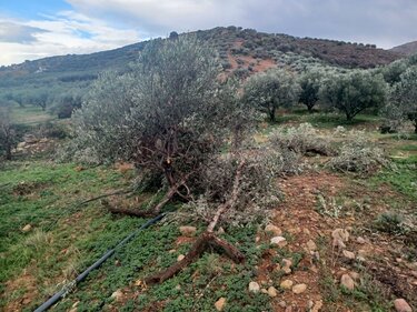 Ανεμοστρόβιλος