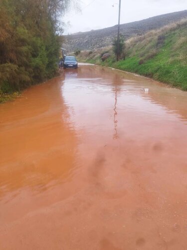 οδηγοί ελιά γέφυρα
