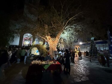 Άνω Βιάννος δέντρο