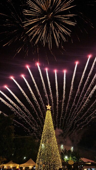 Γάζι δέντρο φωταγώγηση 2025