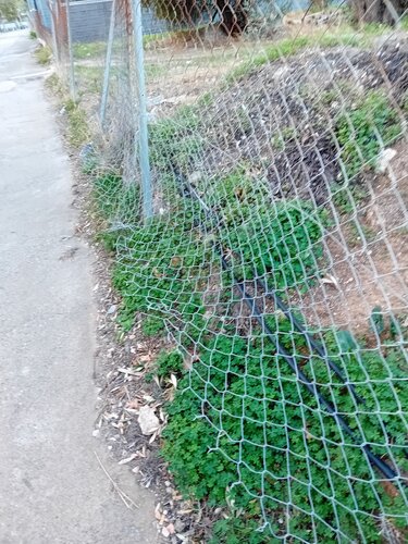 εργα δευαη ανδρέα νάθενα