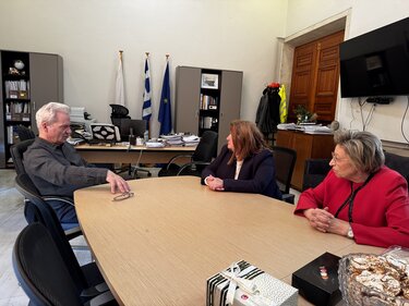 Καλοκαιρινός Κατικα