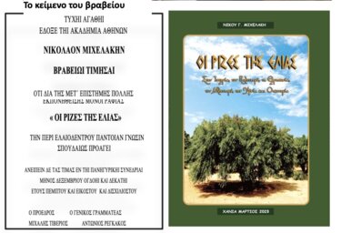 Μιχελάκης, Βράβευση