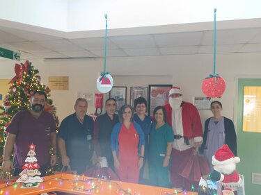 Χριστούγεννα παγνη