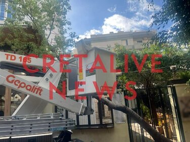 πτώση δέντρου