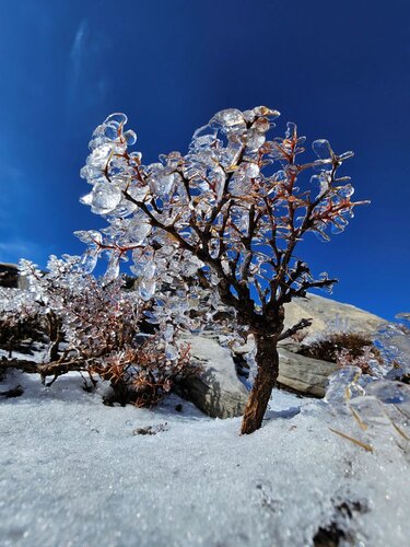 "Το πρώτο χιόνι στον Ψηλορείτη" Πρωτοχρονιάτικη απόδραση στο Λιβαδιώτικο αόρι! φωτο 3