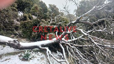 Χιόνια Ασίτες 1