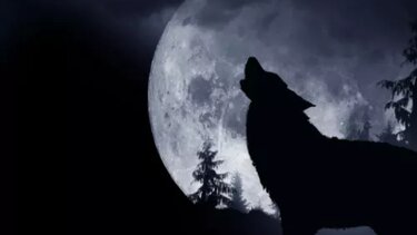 Έρχεται η Πανσέληνος του Λύκου: Τα 4 ζώδια που θα επηρεάσει σημαντικά