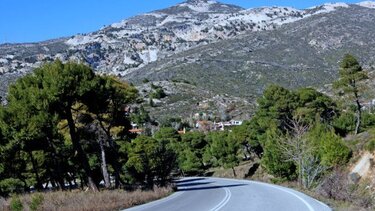 Εντοπίστηκε ανθρώπινο κρανίο στην Πεντέλη