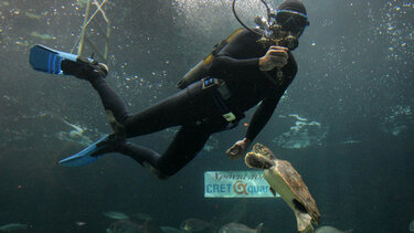 Θεοφάνεια στο Ενυδρείο Κρήτης - CRETAquarium!