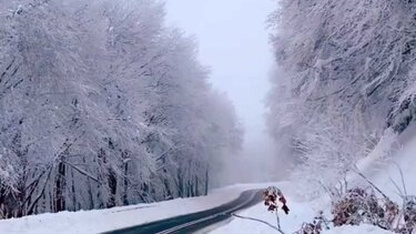 Έντονη χιονόπτωση στη Φλώρινα – Mε χειμερινά ελαστικά η κίνηση των οχημάτων