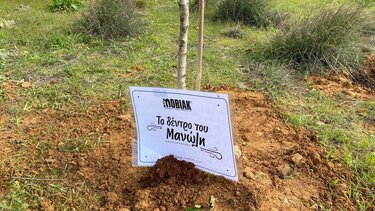 Φυτεύσεις σε κεντρικά σημεία των Χανίων 