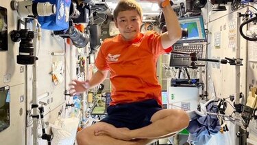 Ιάπωνας δισεκατομμυριούχος πουλάει πολύτιμο έργο του Μπασκιά - 70 εκατ. δολάρια τιμή εκκίνησης