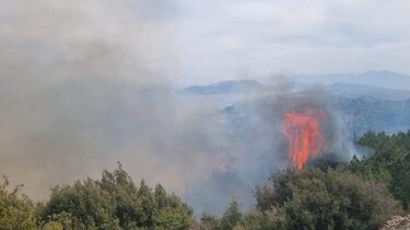 Σε εξέλιξη η φωτιά στη Σάμο: Ενισχύονται οι πυροσβεστικές δυνάμεις - Προσήχθη ηλικιωμένος 