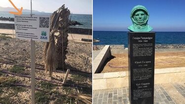 Το δέντρο ξεράθηκε, έμεινε η πινακίδα!