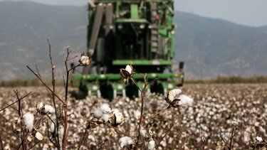 Mείωση κατά 50% στον φόρο εισοδήματος για αγρότες σε συνεταιρισμούς ή σε συμβολαιακή γεωργία