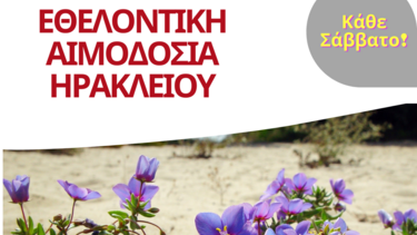 Εθελοντικές αιμοδοσίες σε Λότζια και Πλατεία Ελευθερίας