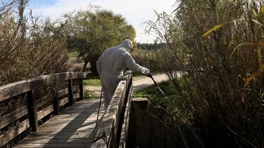 Κλιματική αλλαγή: Κίνδυνος ελονοσίας στην Ελλάδα τις επόμενες δεκαετίες