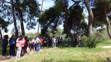 Βιωματική δράση ρητινοσυλλογής για μαθητές στο ΜΑΙΧ