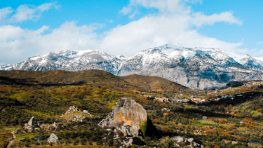 Εκδήλωση στον Ψηλορείτη, στη μνήμη της δασολόγου, Γεωργίας Ξυλούρη