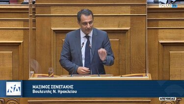 Προβληματισμός Σενετάκη για την ευρωπαϊκή πράσινη μετάβαση