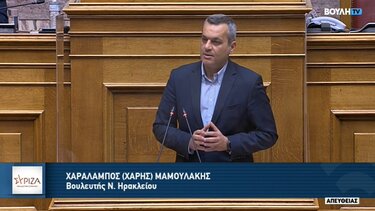 Αναφορά Μαμουλάκη για ελλείψεις στην πλατφόρμα του ΟΠΕΚΕΠΕ