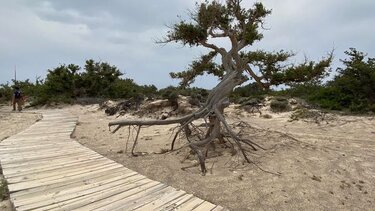 Ολοκληρώθηκε το έργο κατεδάφισης αυθαίρετων κατασκευών στη Νήσο Χρυσή 