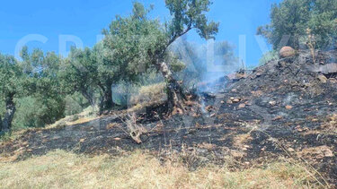 Πρόστιμο στον "απρόσεκτο" που έβαλε φωτιά