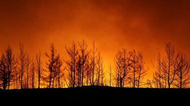 Συναγερμός στην Πυροσβεστική - Αναζωπύρωση της φωτιάς στο Σχιστό