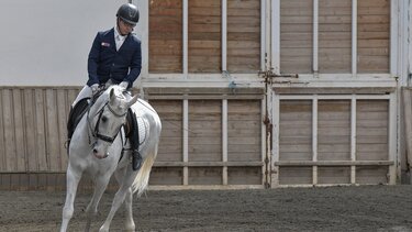 Ρίχνει "κάστρα" και ιππεύει προς την Παραολυμπιάδα ο Μιχάλης Καλαράκης