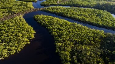 Χωρίς αποτέλεσμα οι έρευνες για τον Βρετανό δημοσιογράφο και τον Βραζιλιάνο ειδικό στους ιθαγενείς, που χάθηκαν στον Αμαζόνιο