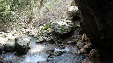 Περιπέτεια για Γαλλίδα σε σπήλαιο - Τί συνέβη 