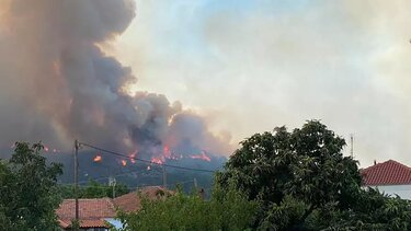 Φωτιά στον Έβρο: Δραματική η κατάσταση στο προστατευόμενο δάσος της Δαδιάς