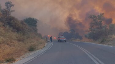 Ελιές, μελίσσια, πρόβατα και χορτολιβαδική έκταση αποτέφρωσαν οι φλόγες στο νότιο Ρέθυμνο