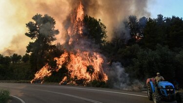 Συνεχίζεται η μάχη με τις φλόγες στη Δαδιά, βελτιωμένη η εικόνα στην Λέσβο, σε ύφεση η πυρκαγιά στην Ηλεία