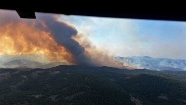 Στυλιανίδης: Χρέος μας να σωθεί το Εθνικό Πάρκο Δαδιάς