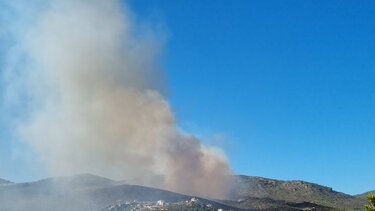 Φωτιά στο Νταού Πεντέλης: Μεγάλη κινητοποίηση της Πυροσβεστικής