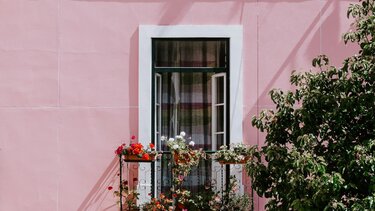 10 καλοκαιρινά φυτά για να γεμίσεις το μπαλκόνι και τον κήπο με χρώματα