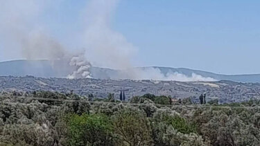 Φωτιά κοντά στο Σχηματάρι - Εντολή εκκένωσης σε οικισμό στο Δήλεσι