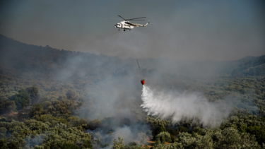 Συνολικά 1053 πυρκαγιές την τελευταία εβδομάδα στη χώρα