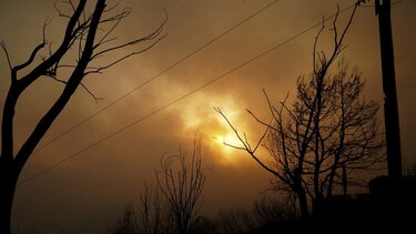 Φωτιά στον Έβρο: Στις παρυφές του δάσους Δαδιάς το μέτωπο