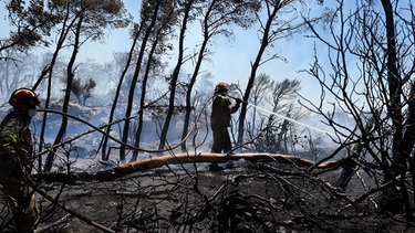 Καλύτερη η εικόνα από το μέτωπο της πυρκαγιάς στη Φέριζα 