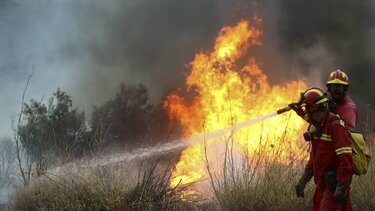 Υπό πλήρη έλεγχο η φωτιά στην Εύβοια - Βελτιωμένη η εικόνα στα Σπάτα