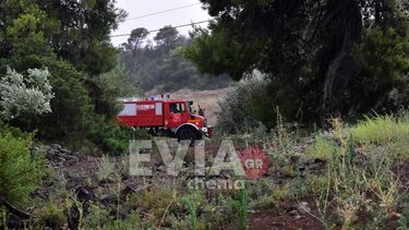 Φωτιά στα Ψαχνά μετά από πτώση κεραυνού