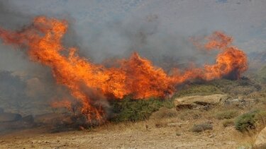 Πρόστιμο σε αγρότη για φωτιά στα Χανιά