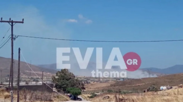  Υπό έλεγχο η φωτιά στην Κάρυστο